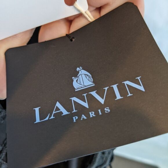 Artisan LANVIN logo Lace silk dress size 2 (34) BNWT w plunging V at the back - Picture 7 of 12